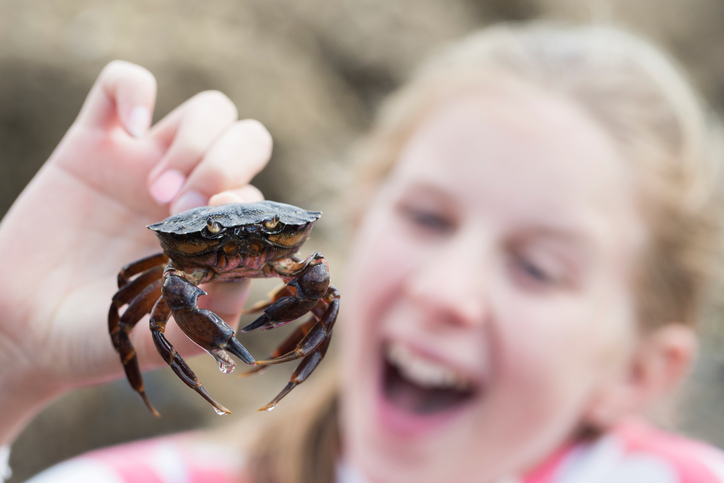 Young Girl Holding Crab